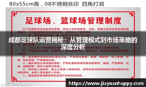 成都足球队运营揭秘：从管理模式到市场策略的深度分析